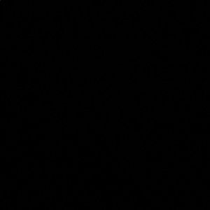 Meet your Posher, Summer